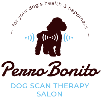 Dog Scan Therapy Salon「Perro Bonito」